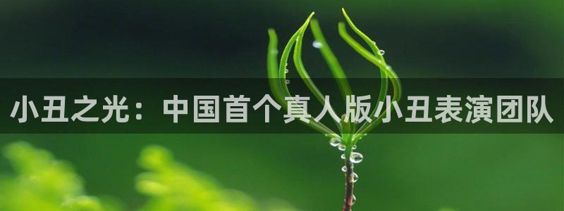 yy6080新视觉影院手机版伦理：小丑之光：中国首个真人版小丑表演团队