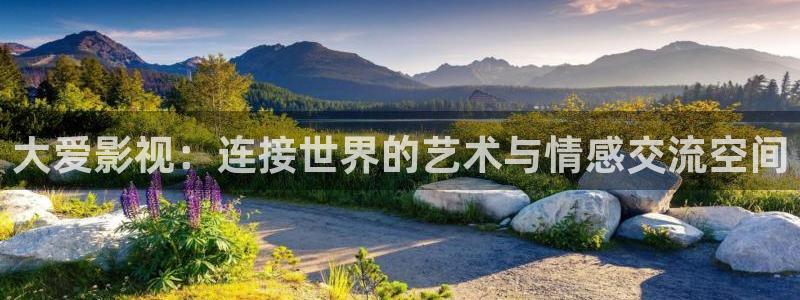 4410新视觉影院最新热门电视剧：大爱影视：连接世界的艺术与情感交流空间