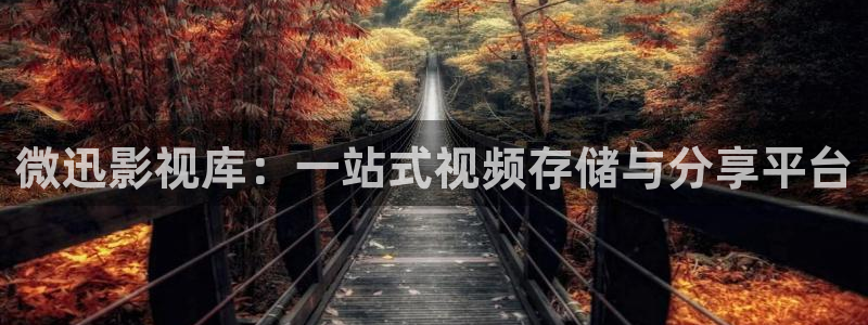 8090新视觉理论：微迅影视库：一站式视频存储与分享平台