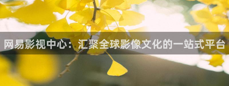 6080新视觉高清免费电视剧：网易影视中心：汇聚全球影像文化的一站式平台