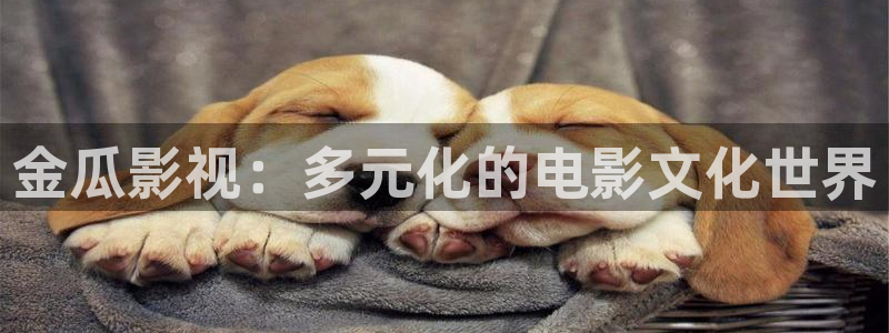 6080新视觉电影在线：金瓜影视：多元化的电影文化世界