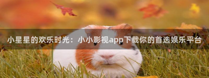 6080新视觉免费看电视剧：小星星的欢乐时光：小小影视app下载你的首选娱乐平台